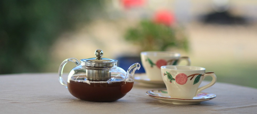 fun things to do in dallas, things to do in dallas texas, tea at the Dallas arboretum